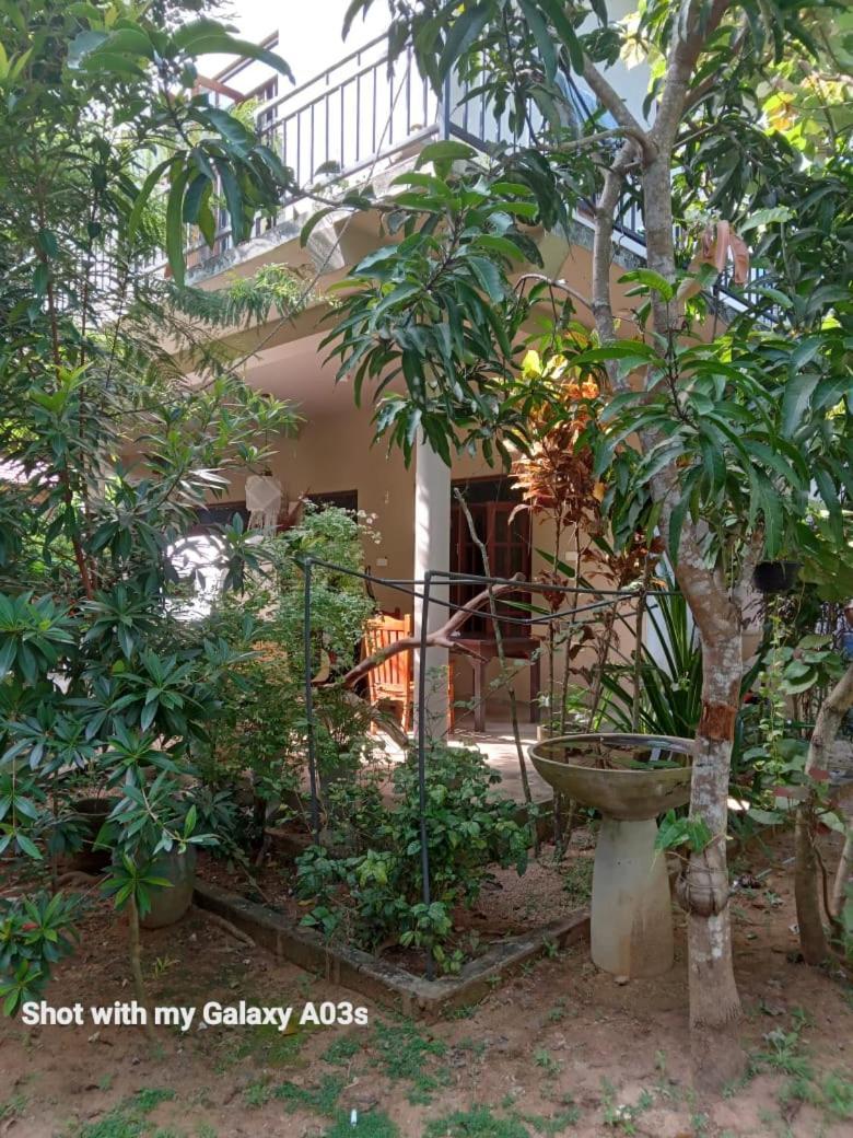 Bamboo Grove Villa Tangalle Esterno foto